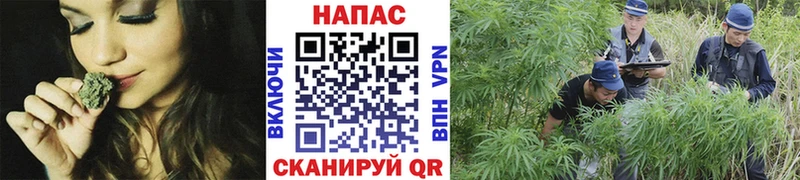 Купить наркотик аптеки Берёзовский ГАШ  МАРИХУАНА  A-PVP  Меф мяу мяу  Кокаин 