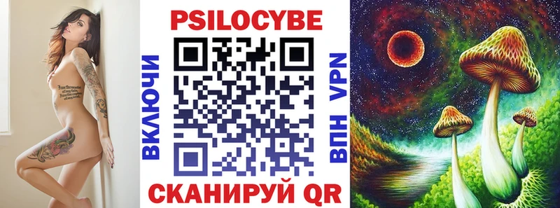 Псилоцибиновые грибы Psilocybine cubensis  Берёзовский 